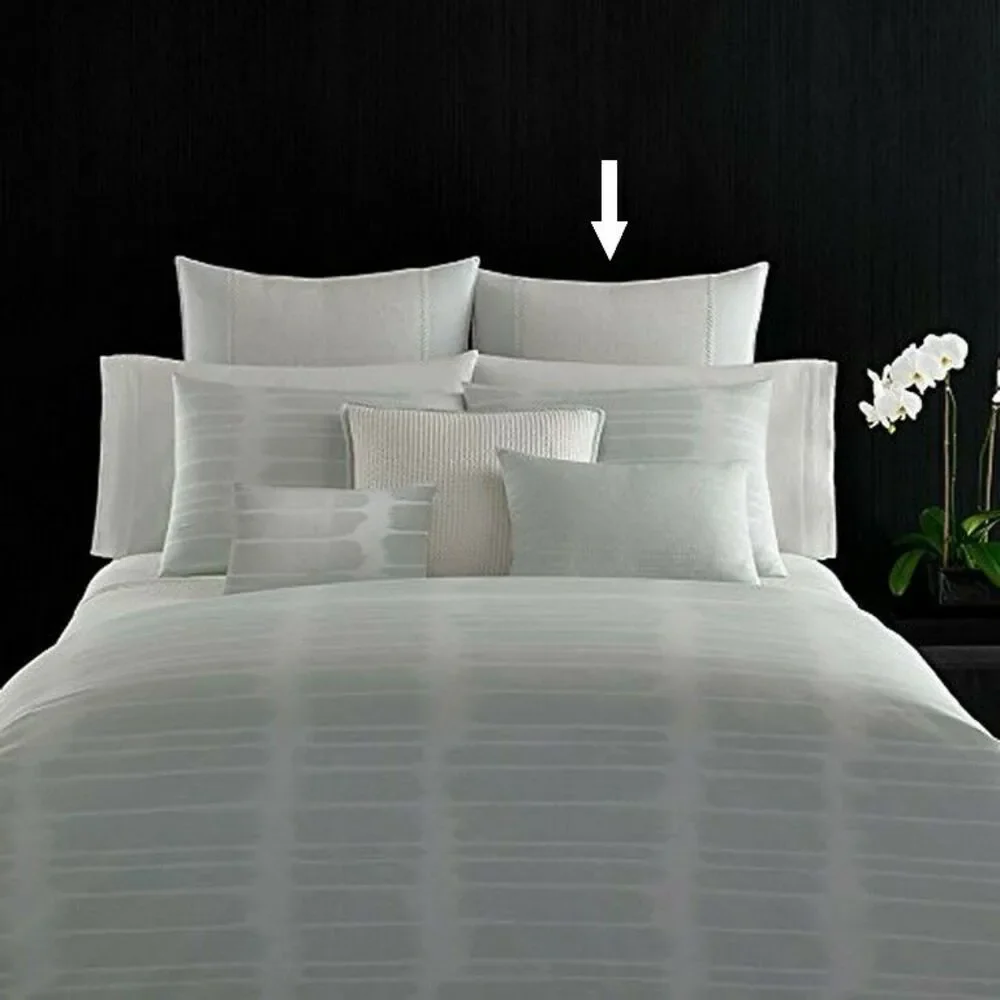 Vera Wang Painted Stripe European Euro Sham Aqua White Ramie Linen Dorm 26x26